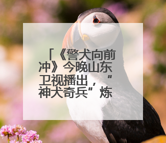 《警犬向前冲》今晚山东卫视播出，“神犬奇兵”炼成记