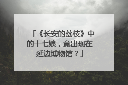 《长安的荔枝》中的十七娘，竟出现在延边博物馆？