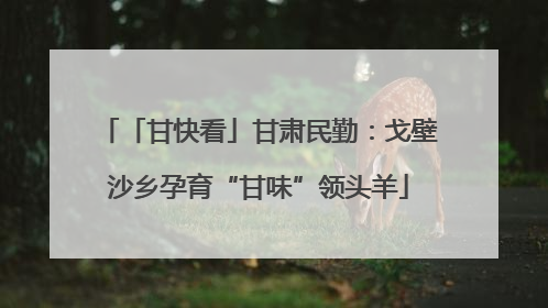 「甘快看」甘肃民勤：戈壁沙乡孕育“甘味”领头羊