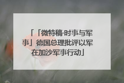 「微特稿·时事与军事」德国总理批评以军在加沙军事行动
