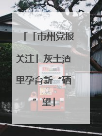 「市州党报关注」灰土渣里孕育新“硒”望