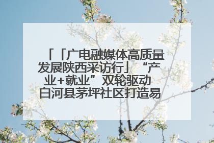 「广电融媒体高质量发展陕西采访行」“产业+就业”双轮驱动 白河县茅坪社区打造易地搬迁后扶新样本