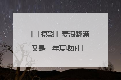 「摄影」麦浪翻涌 又是一年夏收时