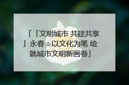 「文明城市 共建共享」永春：以文化为笔 绘就城市文明新画卷