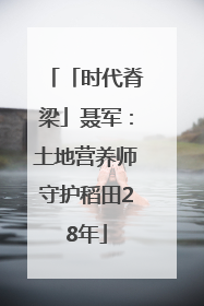 「时代脊梁」聂军：土地营养师守护稻田28年