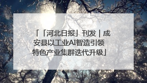 「河北日报」刊发｜成安县以工业AI智造引领特色产业集群迭代升级