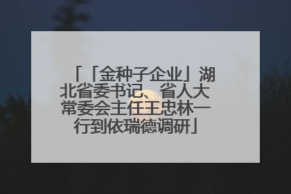 「金种子企业」湖北省委书记、省人大常委会主任王忠林一行到依瑞德调研