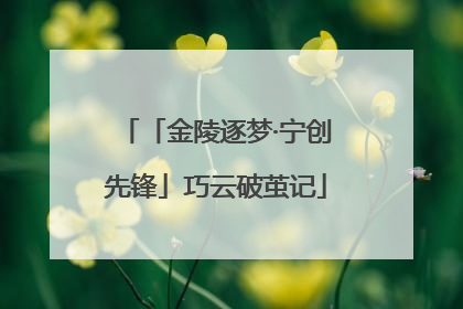 「金陵逐梦·宁创先锋」巧云破茧记
