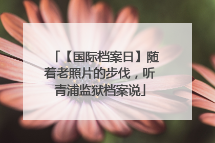 【国际档案日】随着老照片的步伐，听青浦监狱档案说