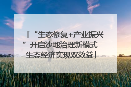 “生态修复+产业振兴”开启沙地治理新模式 生态经济实现双效益