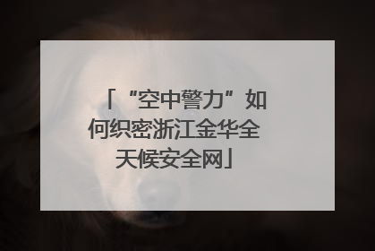 “空中警力”如何织密浙江金华全天候安全网