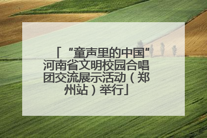 “童声里的中国”河南省文明校园合唱团交流展示活动（郑州站）举行