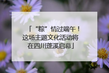 “粽”情过端午！这场主题文化活动将在四川蓬溪启幕