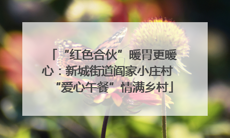 “红色合伙”暖胃更暖心：新城街道阎家小庄村“爱心午餐”情满乡村