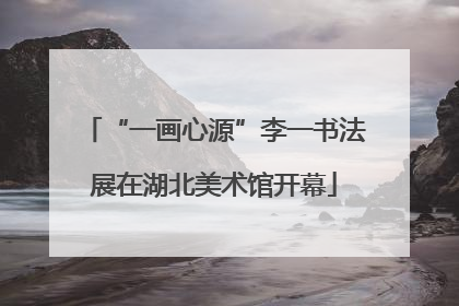 “一画心源”李一书法展在湖北美术馆开幕