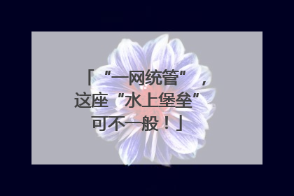 “一网统管”，这座“水上堡垒”可不一般！