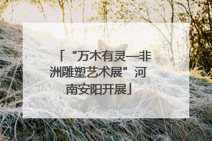 “万木有灵—非洲雕塑艺术展”河南安阳开展