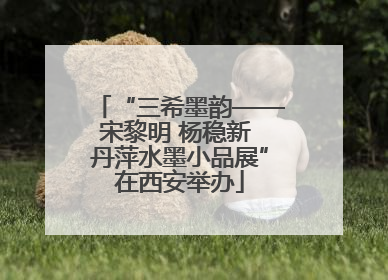 “三希墨韵——宋黎明 杨稳新 丹萍水墨小品展”在西安举办