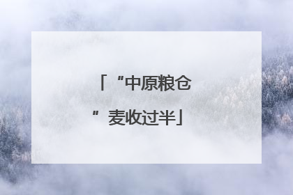 “中原粮仓”麦收过半