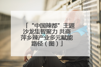 “中国辣都”主题沙龙集智聚力 共商萍乡辣产业多元赋能路径（图）
