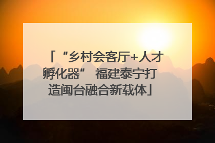 “乡村会客厅+人才孵化器” 福建泰宁打造闽台融合新载体