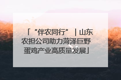 “伴农同行”｜山东农担公司助力菏泽巨野蛋鸡产业高质量发展