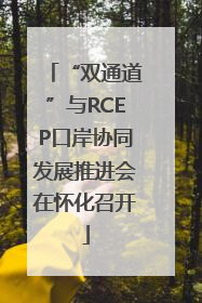 “双通道”与RCEP口岸协同发展推进会在怀化召开