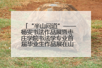 “半山问道”——杨雯书法作品展暨枣庄学院书法学专业首届毕业生作品展在山东省文化馆开幕