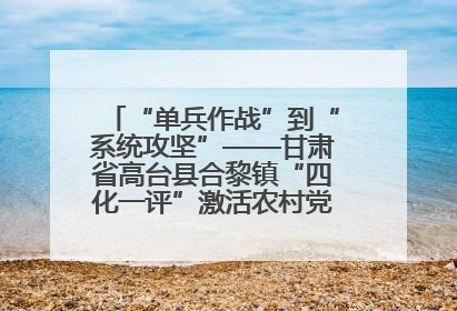 “单兵作战”到“系统攻坚”——甘肃省高台县合黎镇“四化一评”激活农村党员管理新引擎