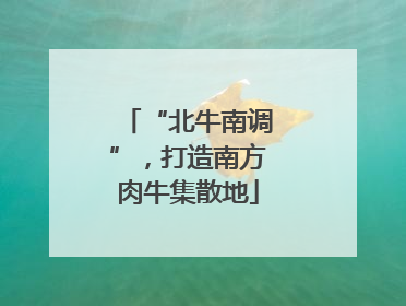 “北牛南调”，打造南方肉牛集散地