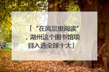 “在风景里阅读”，湖州这个图书馆项目入选全球十大