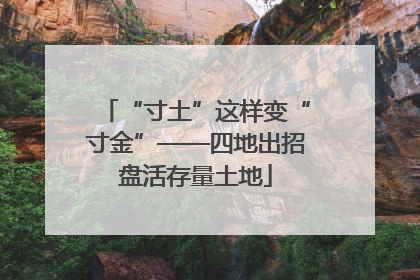 “寸土”这样变“寸金”——四地出招盘活存量土地