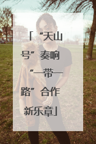 “天山号”奏响“一带一路”合作新乐章