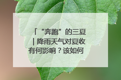 “奔跑”的三夏｜降雨天气对夏收有何影响？该如何防范？一文了解