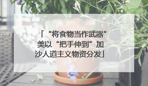 “将食物当作武器” 美以“把手伸到”加沙人道主义物资分发