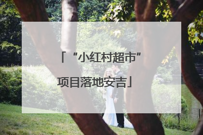 “小红村超市”项目落地安吉