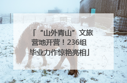 “山外青山”文旅营地开营！236组毕业力作惊艳亮相