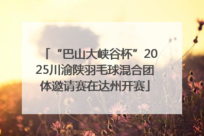 “巴山大峡谷杯”2025川渝陕羽毛球混合团体邀请赛在达州开赛