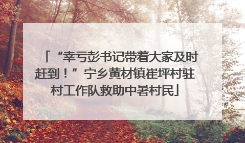 “幸亏彭书记带着大家及时赶到！”宁乡黄材镇崔坪村驻村工作队救助中暑村民