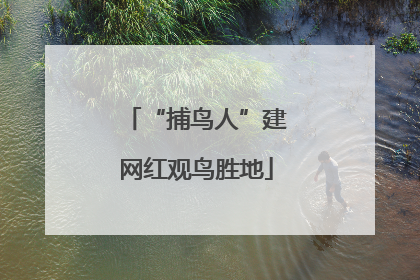 “捕鸟人”建网红观鸟胜地