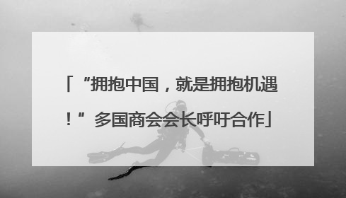 “拥抱中国，就是拥抱机遇！”多国商会会长呼吁合作