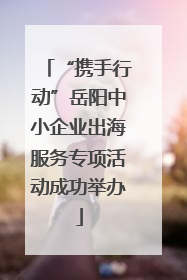 “携手行动”岳阳中小企业出海服务专项活动成功举办
