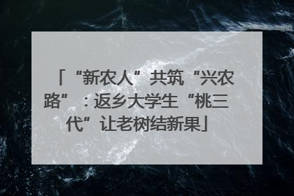 “新农人”共筑“兴农路”：返乡大学生“桃三代”让老树结新果