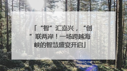 “智”汇嘉兴，“创”联两岸！一场跨越海峡的智慧盛宴开启