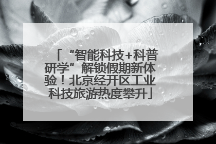 “智能科技+科普研学”解锁假期新体验！北京经开区工业科技旅游热度攀升