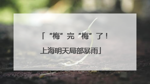 “梅”完“梅”了！上海明天局部暴雨
