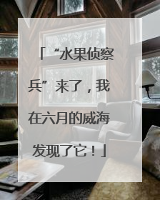 “水果侦察兵”来了，我在六月的威海发现了它！