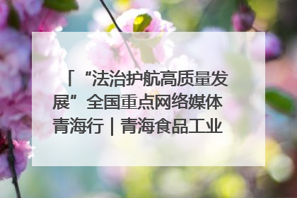 “法治护航高质量发展”全国重点网络媒体青海行｜青海食品工业协会：架起“青字号”美食的产业化桥梁