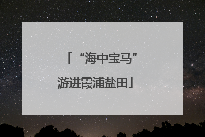 “海中宝马”游进霞浦盐田