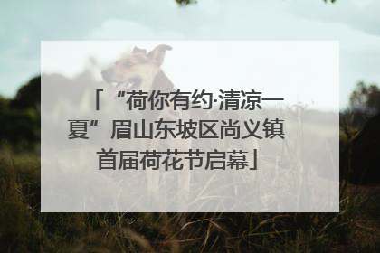 “荷你有约·清凉一夏”眉山东坡区尚义镇首届荷花节启幕